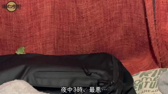 軽バン 2人暮らし 車生活 怖かった 体験 カメムシ 大絶叫 車中泊 旅