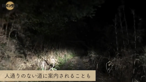 軽バン 2人暮らし 車生活 怖かった 体験 カメムシ 大絶叫 車中泊 旅