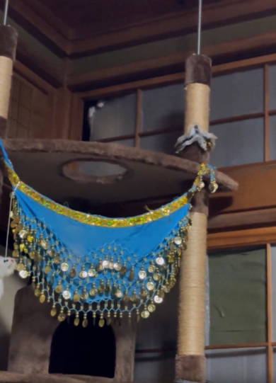 最近ガタガタ鳴る障子