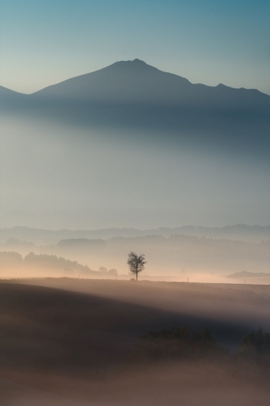 美瑛霧がかかる秋の朝