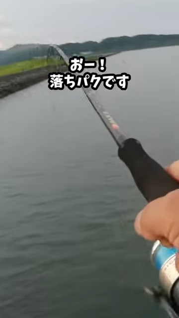 ダイソーの釣具