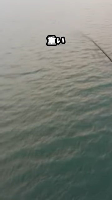 ダイソーの釣具