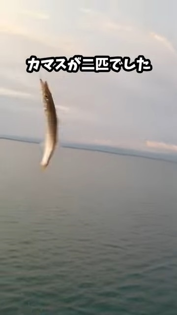 ダイソーの釣具