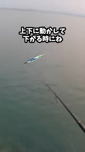 ダイソーの釣具