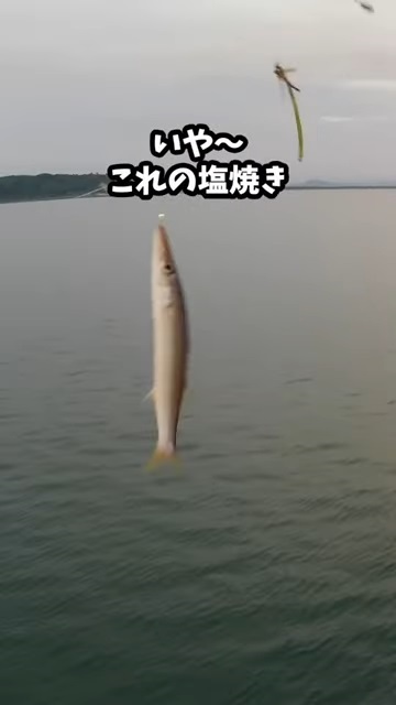 ダイソーの釣具