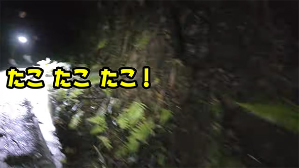 たこたこたこ
