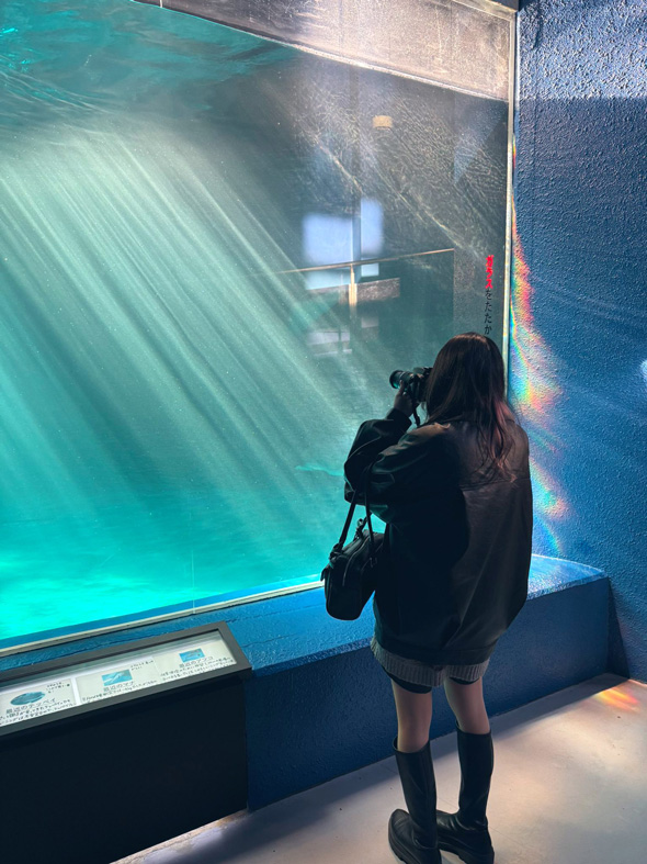おたる水族館 ネズミイルカ 絶好のチャンス 狙う私 撮れた 写真