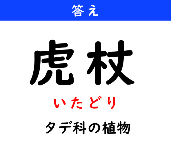 漢字クイズ　難読漢字　虎杖