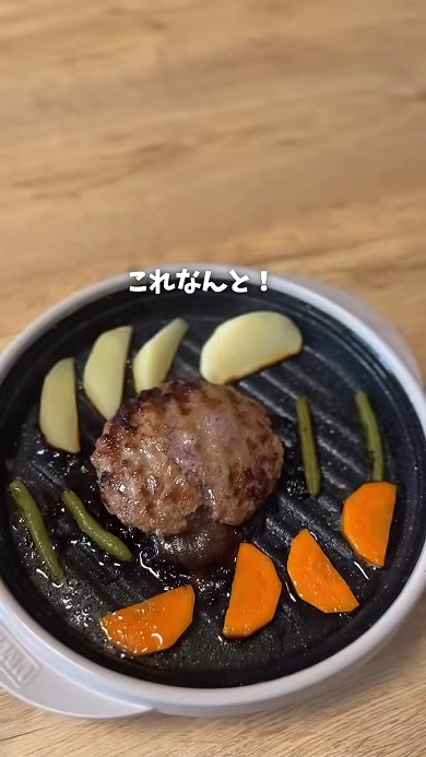 電子レンジ専用調理器