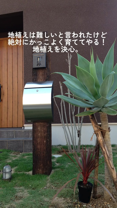 スコップ1つ 植栽 植物 10年後 庭 ガーデニング 変化 ビフォーアフター