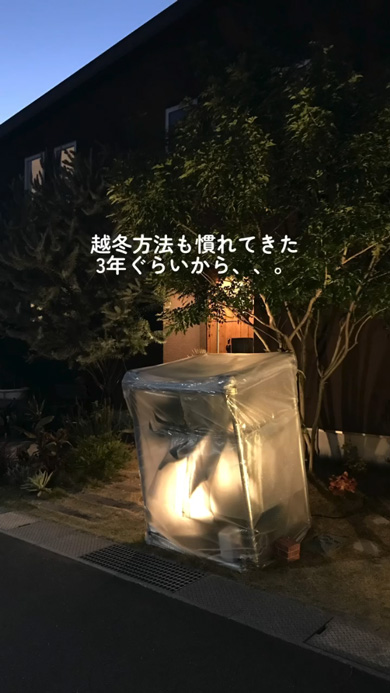 スコップ1つ 植栽 植物 10年後 庭 ガーデニング 変化 ビフォーアフター