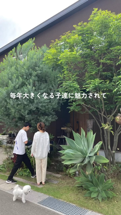 スコップ1つ 植栽 植物 10年後 庭 ガーデニング 変化 ビフォーアフター