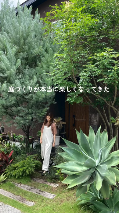 スコップ1つ 植栽 植物 10年後 庭 ガーデニング 変化 ビフォーアフター