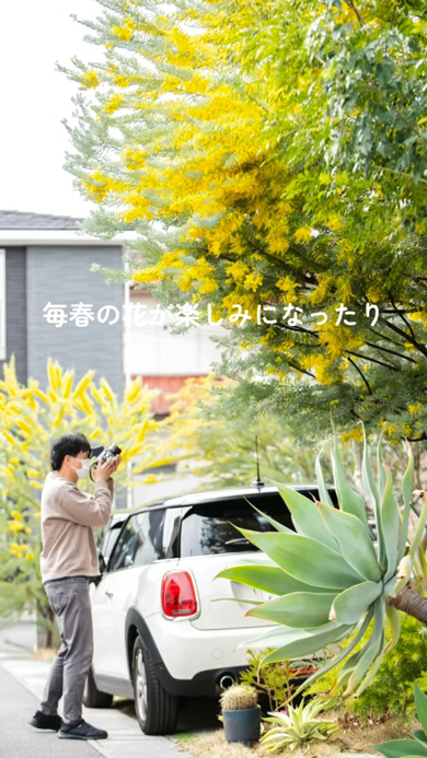 スコップ1つ 植栽 植物 10年後 庭 ガーデニング 変化 ビフォーアフター