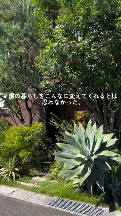 スコップ1つ 植栽 植物 10年後 庭 ガーデニング 変化 ビフォーアフター