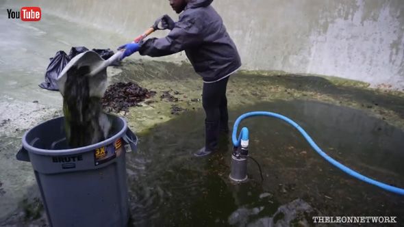 プール 掃除 清掃 濁った水 鮮やかな青 汚れ 洗浄 ビフォーアフター
