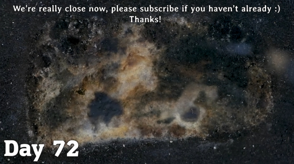 パンを2カ月間土に埋める実験