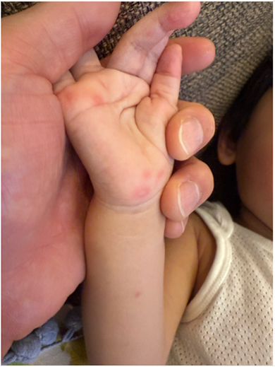 おばたのお兄さんの息子