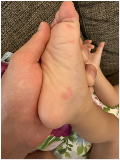 おばたのお兄さんの息子