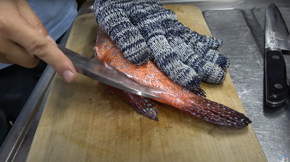 ヤドクガエルそっくりの生き物を食べてみた