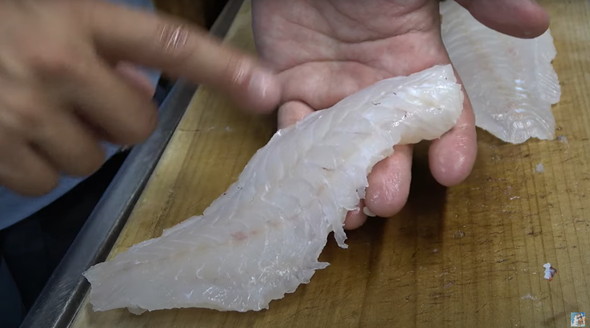 ヤドクガエルそっくりの生き物を食べてみた
