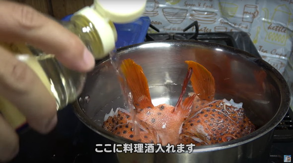 ヤドクガエルそっくりの生き物を食べてみた