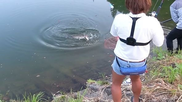 姿を表した怪魚