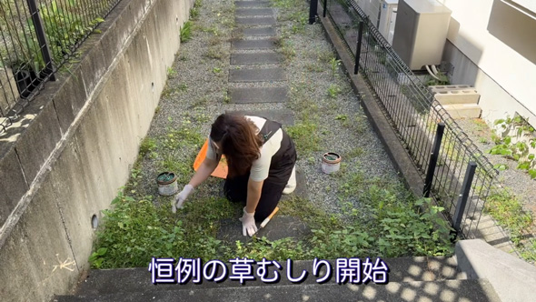50代 主婦 草抜き 庭 手入れ 草むしり 剪定 作業 ビフォーアフター
