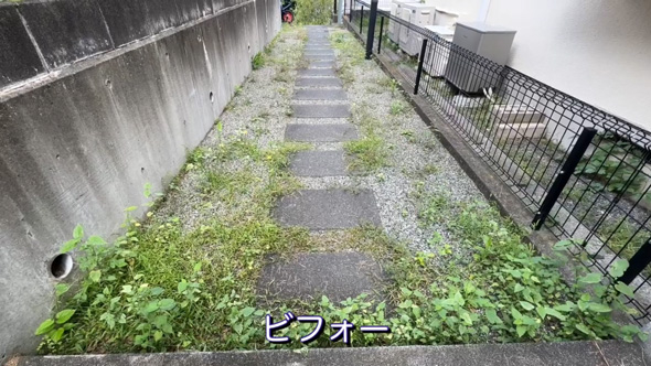 50代 主婦 草抜き 庭 手入れ 草むしり 剪定 作業 ビフォーアフター
