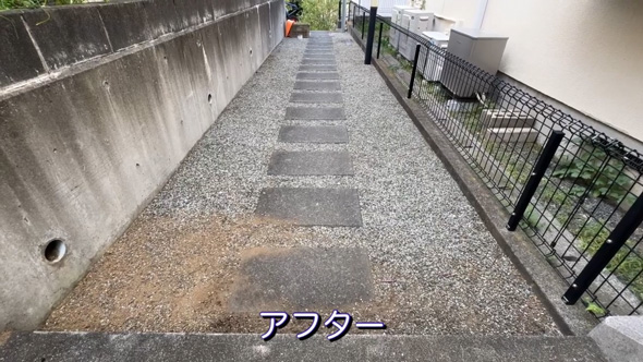 50代 主婦 草抜き 庭 手入れ 草むしり 剪定 作業 ビフォーアフター