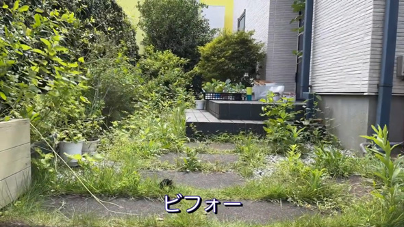 50代 主婦 草抜き 庭 手入れ 草むしり 剪定 作業 ビフォーアフター