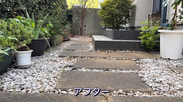 50代 主婦 草抜き 庭 手入れ 草むしり 剪定 作業 ビフォーアフター