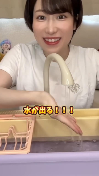 キッチンシンクトイ