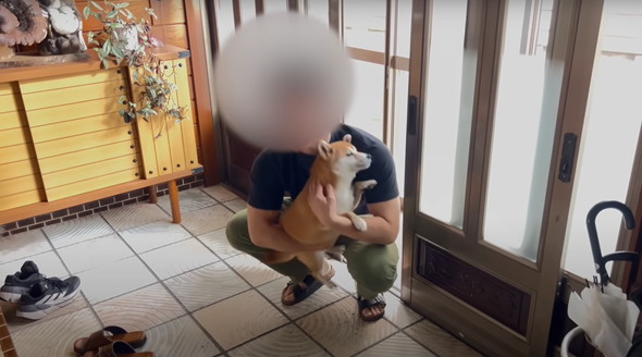 我が子のように育てられた柴犬