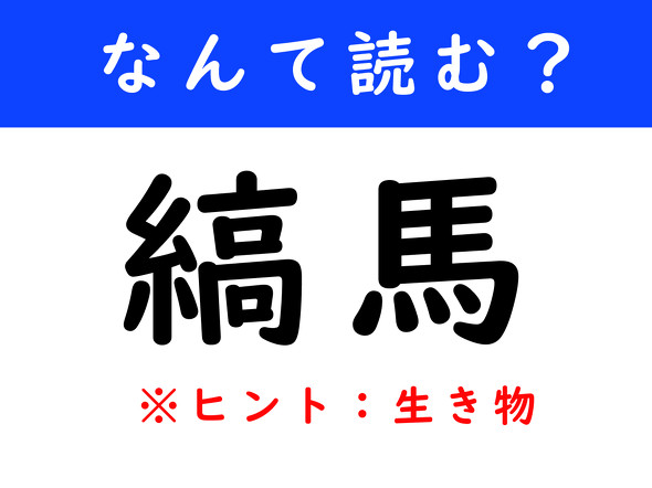漢字クイズ　難読漢字　縞馬
