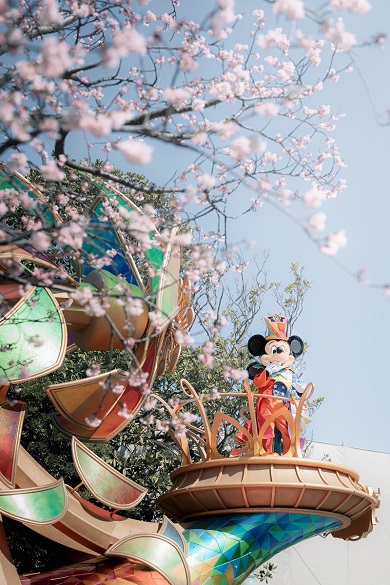 ミッキーと桜の花を一緒に収めたディズニーリゾートの写真