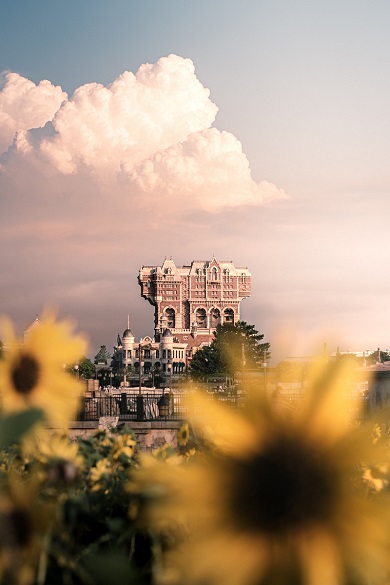 手前にヒマワリの花畑が広がっているディズニーリゾートの写真