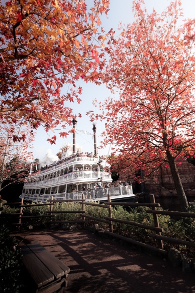 紅葉に囲まれたマークトゥエイン号の写真