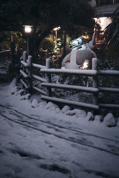 ディズニーリゾートの雪景色