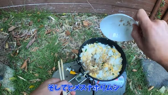チャーハンに炒めたヒメスナホリムシを振りかける