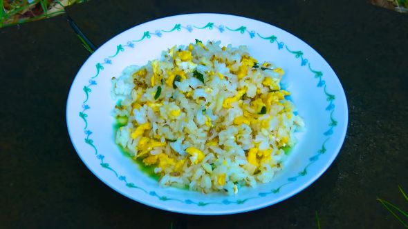 完成したヒメスナホリムシチャーハン