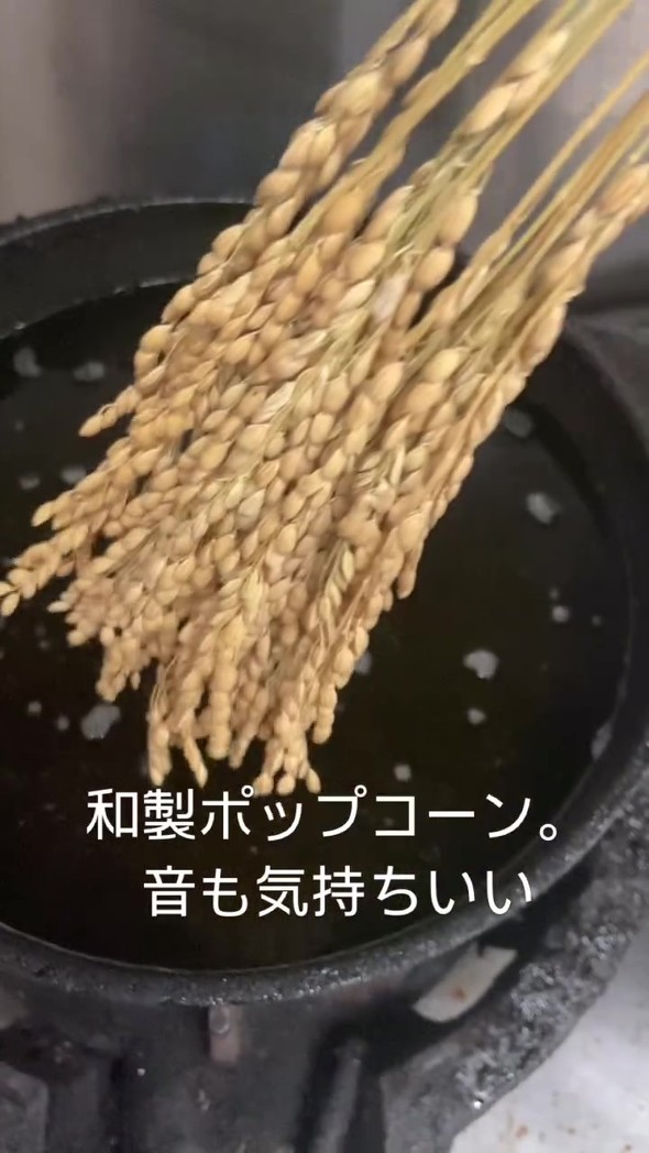 調理前の稲穂