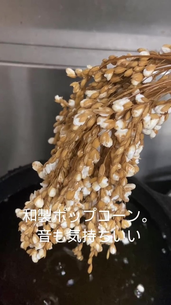 油で調理済みの稲穂