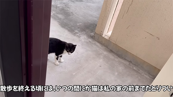 散歩を終える頃には