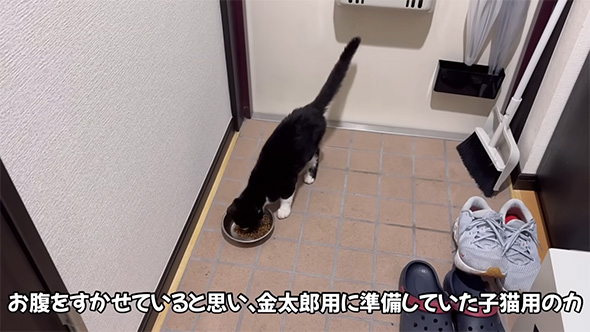 おなかをすかせていると