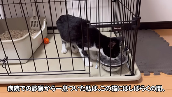 病院での診察から