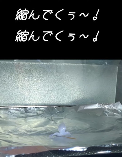 ブラバンを使ったアクセサリー制作解説