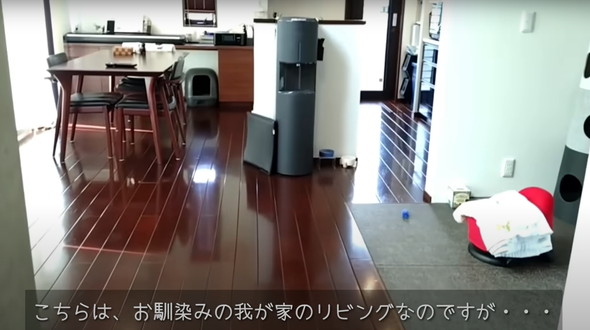 保護猫ちゃんと暮らし始めて5年後のマイホーム