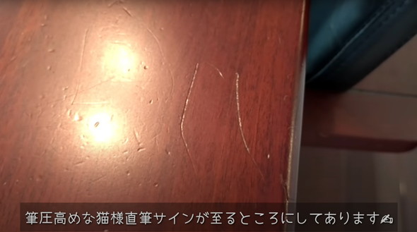 保護猫ちゃんと暮らし始めて5年後のマイホーム