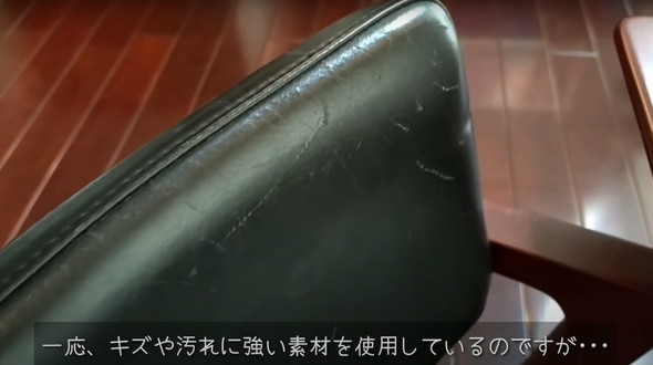 保護猫ちゃんと暮らし始めて5年後のマイホーム